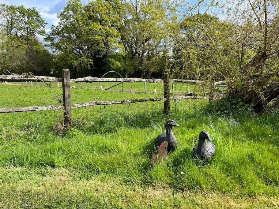 شقة The Stable, Grove End Farm بيتورث المظهر الخارجي الصورة
